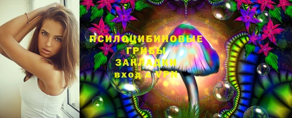 прущие крисы Арсеньев