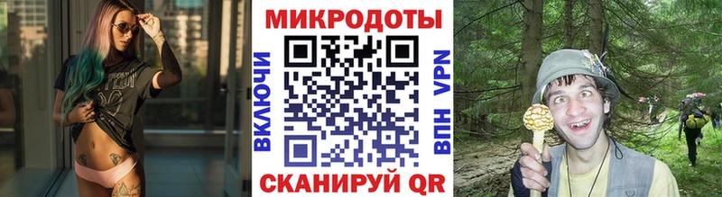 где найти   ссылка на мегу зеркало  Псилоцибиновые грибы Psilocybine cubensis  Райчихинск 