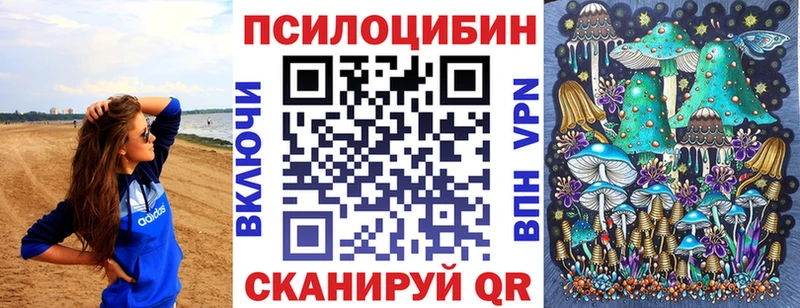 Псилоцибиновые грибы Cubensis Райчихинск