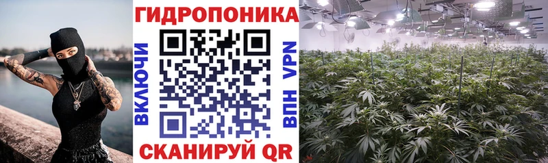 Шишки марихуана сатива  Райчихинск 
